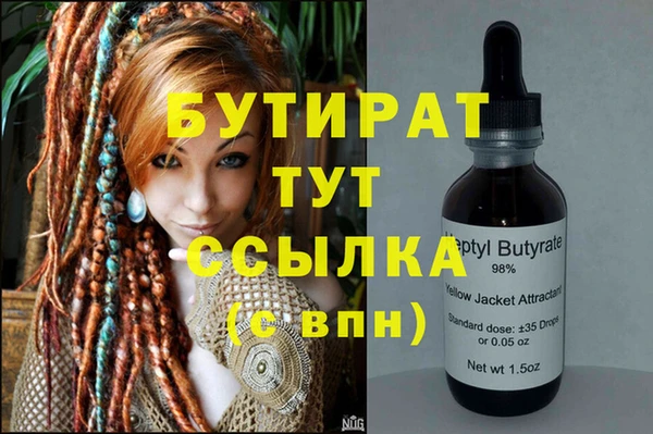 индика Новодвинск