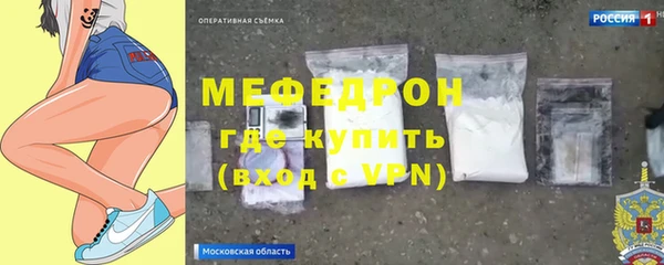 индика Новодвинск