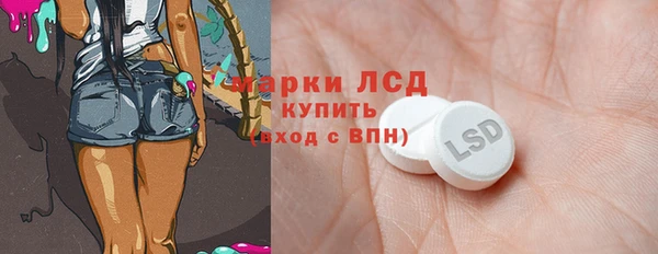 индика Новодвинск