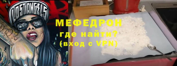 индика Новодвинск