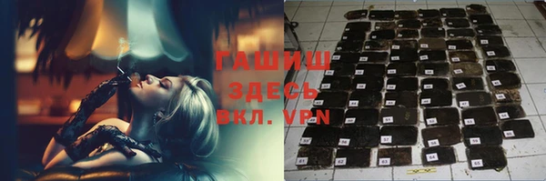индика Новодвинск