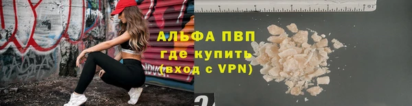 индика Новодвинск