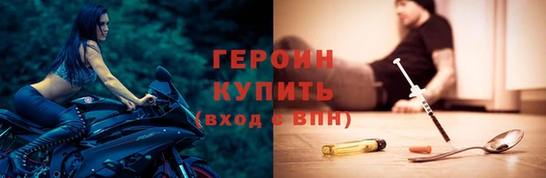 индика Новодвинск