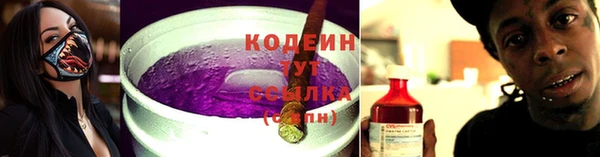 индика Новодвинск