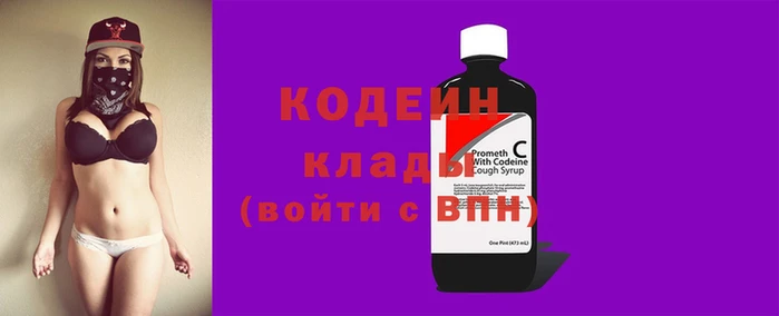 индика Новодвинск