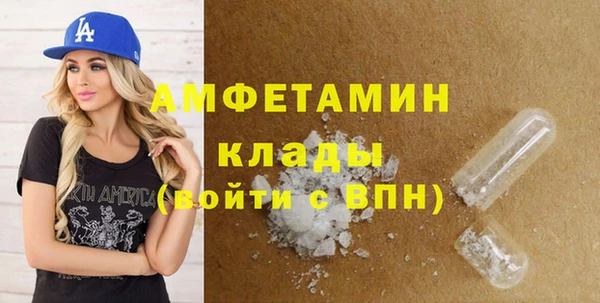 индика Новодвинск