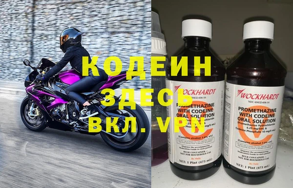 индика Новодвинск