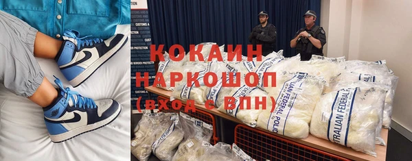 индика Новодвинск