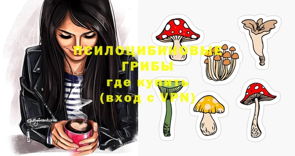 синтетический гашиш Новозыбков