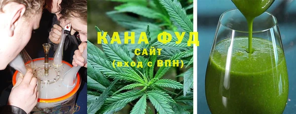 индика Новодвинск
