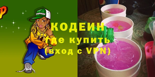 индика Новодвинск