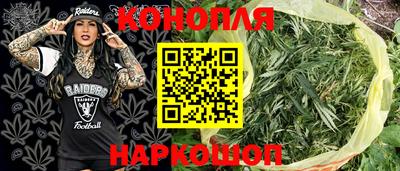 индика Абакан