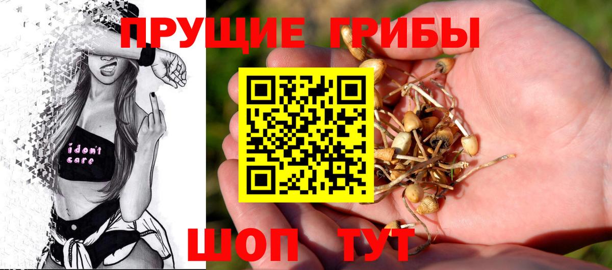 Галлюциногенные грибы MAGIC MUSHROOMS  Вход с VPN  Алексин 