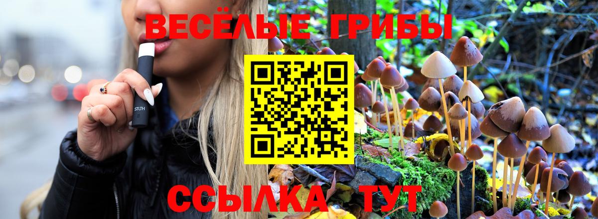 Галлюциногенные грибы MAGIC MUSHROOMS Алексин